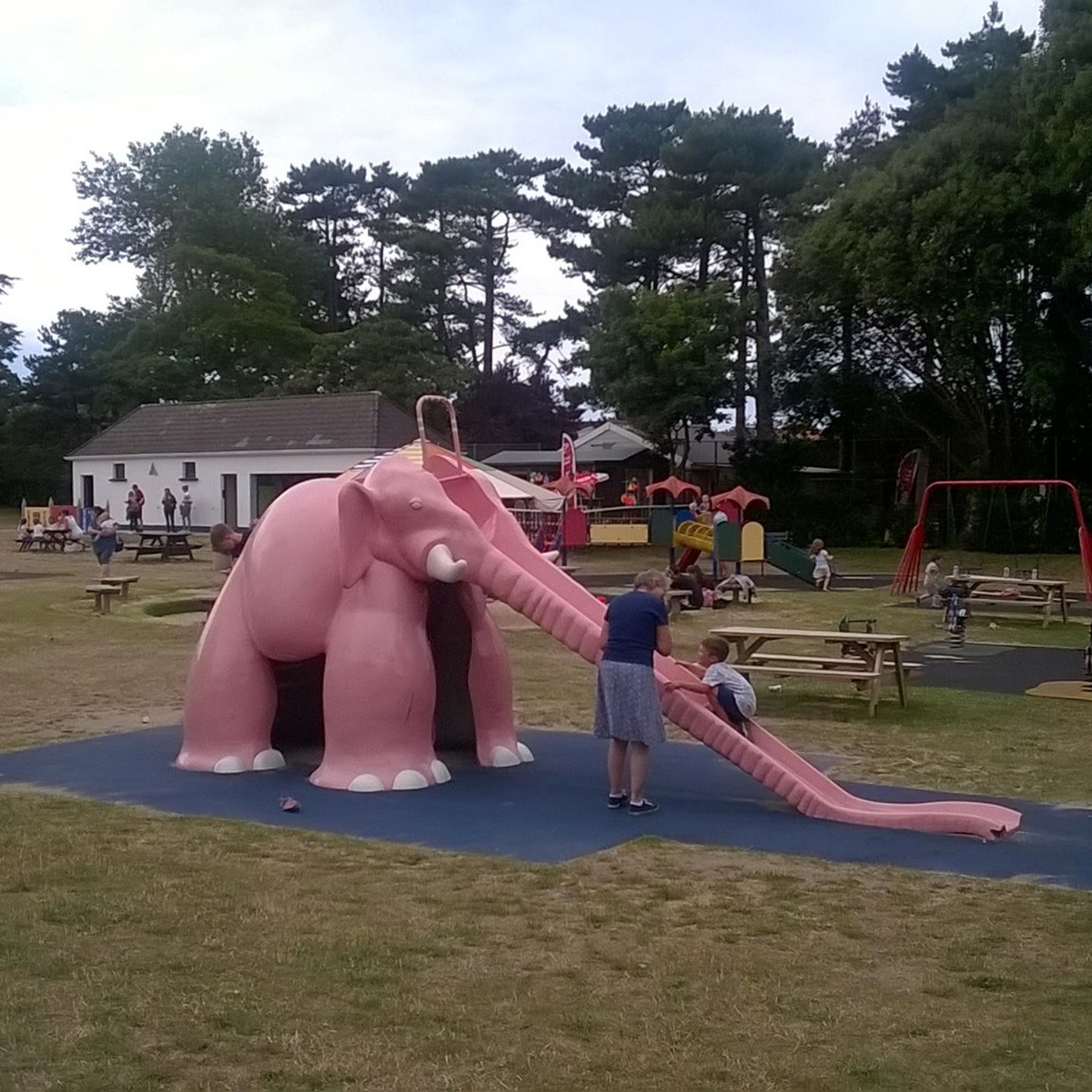 The popular pink elephant slide