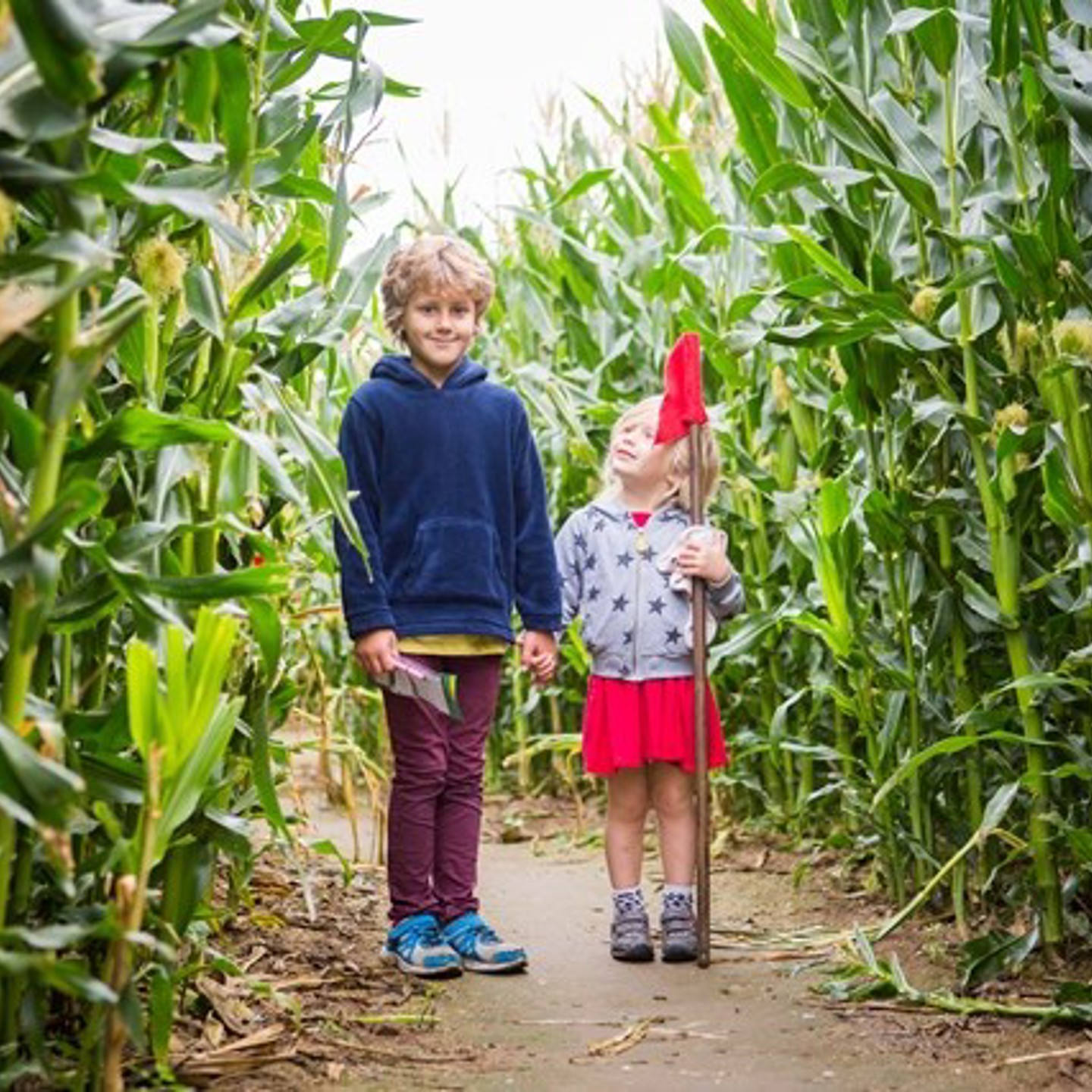 Kids exploring the corn field