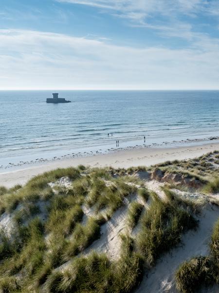 Untitled Design.Zip 2