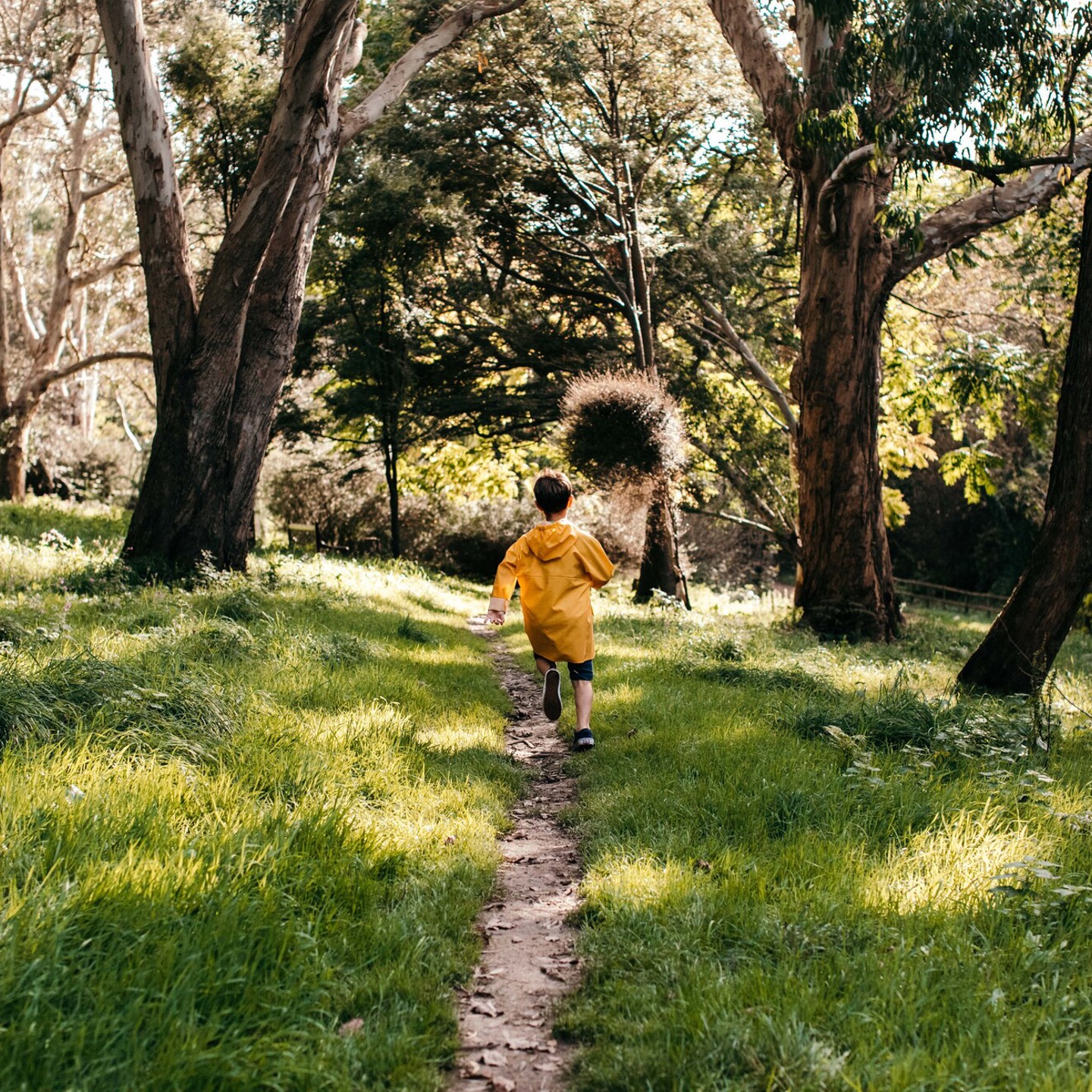 Boy running through St.Catherine’s Woods