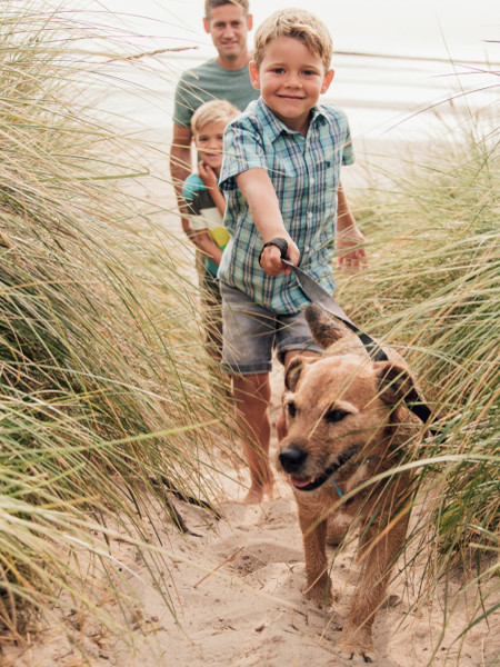 Family walking dog on beach