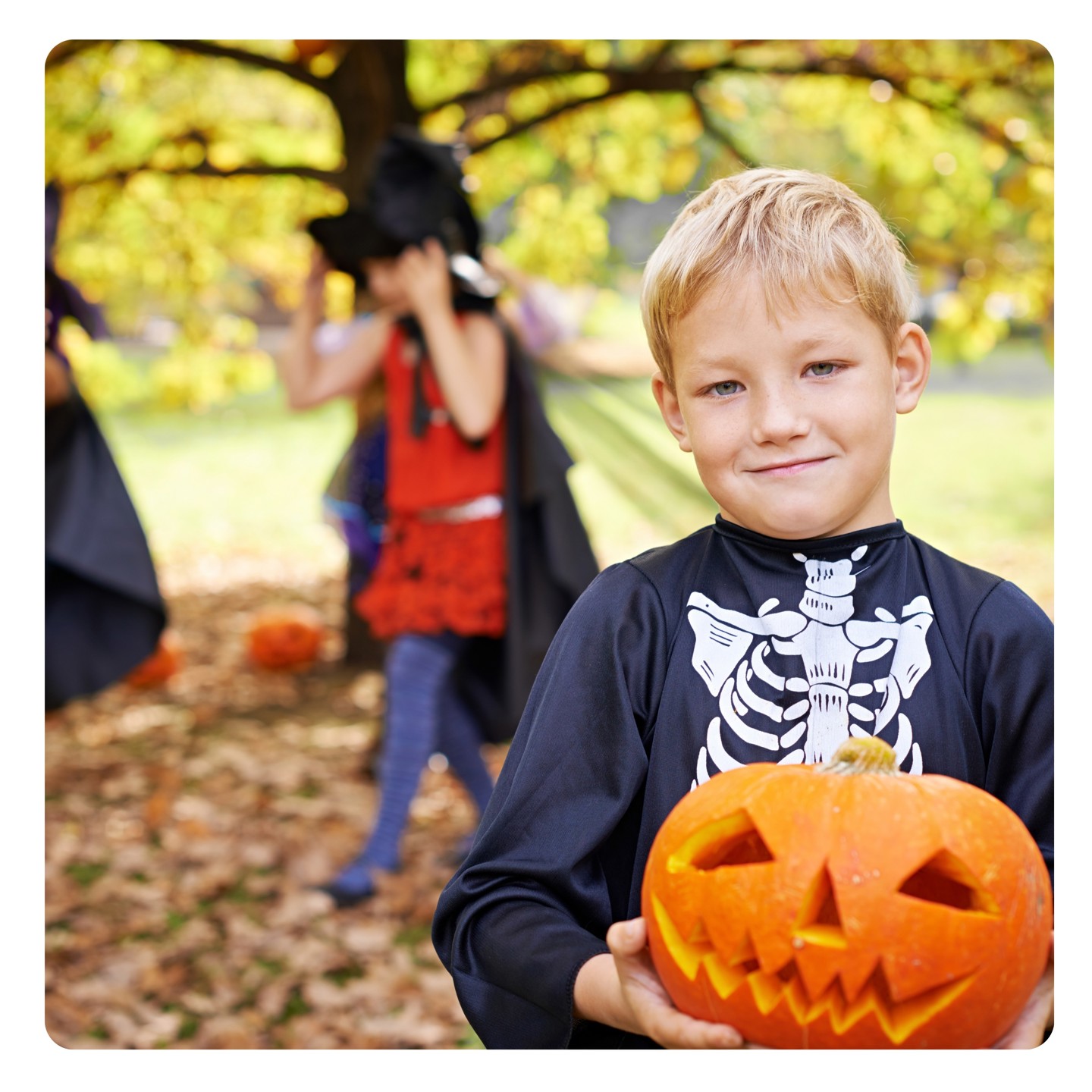 Halloween Banner (1)