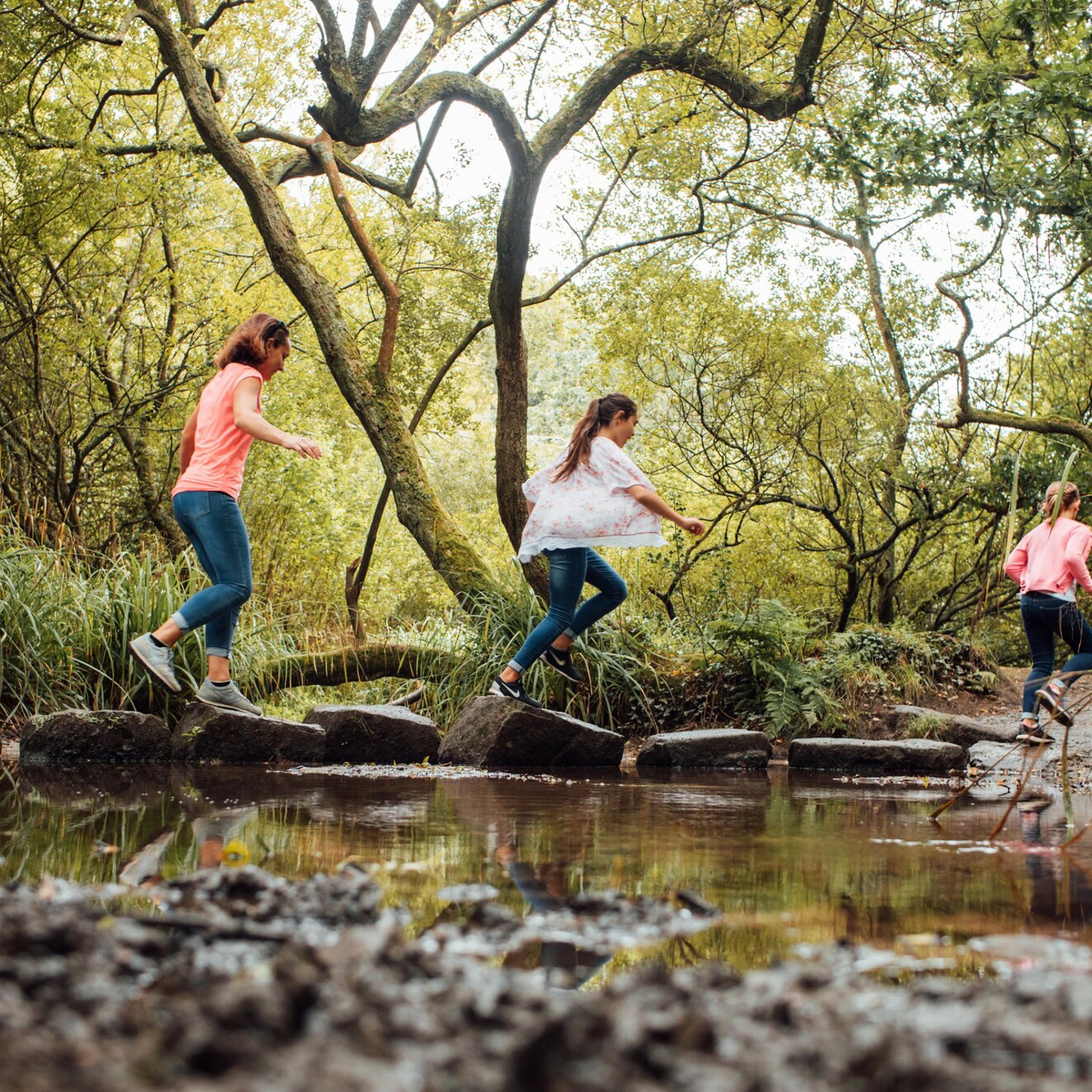 Family exploring the woods