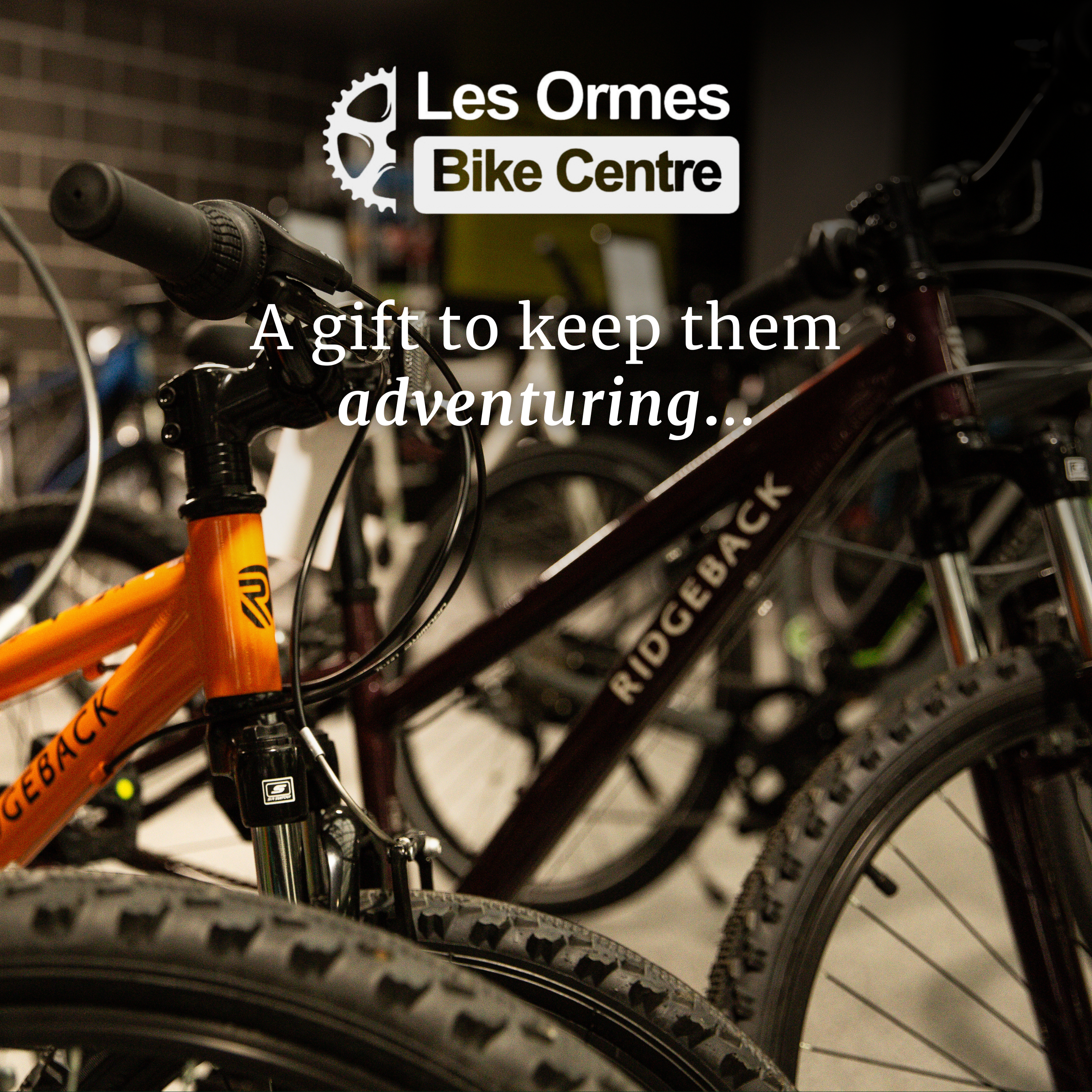 Gift Vouchers Campaign (15)