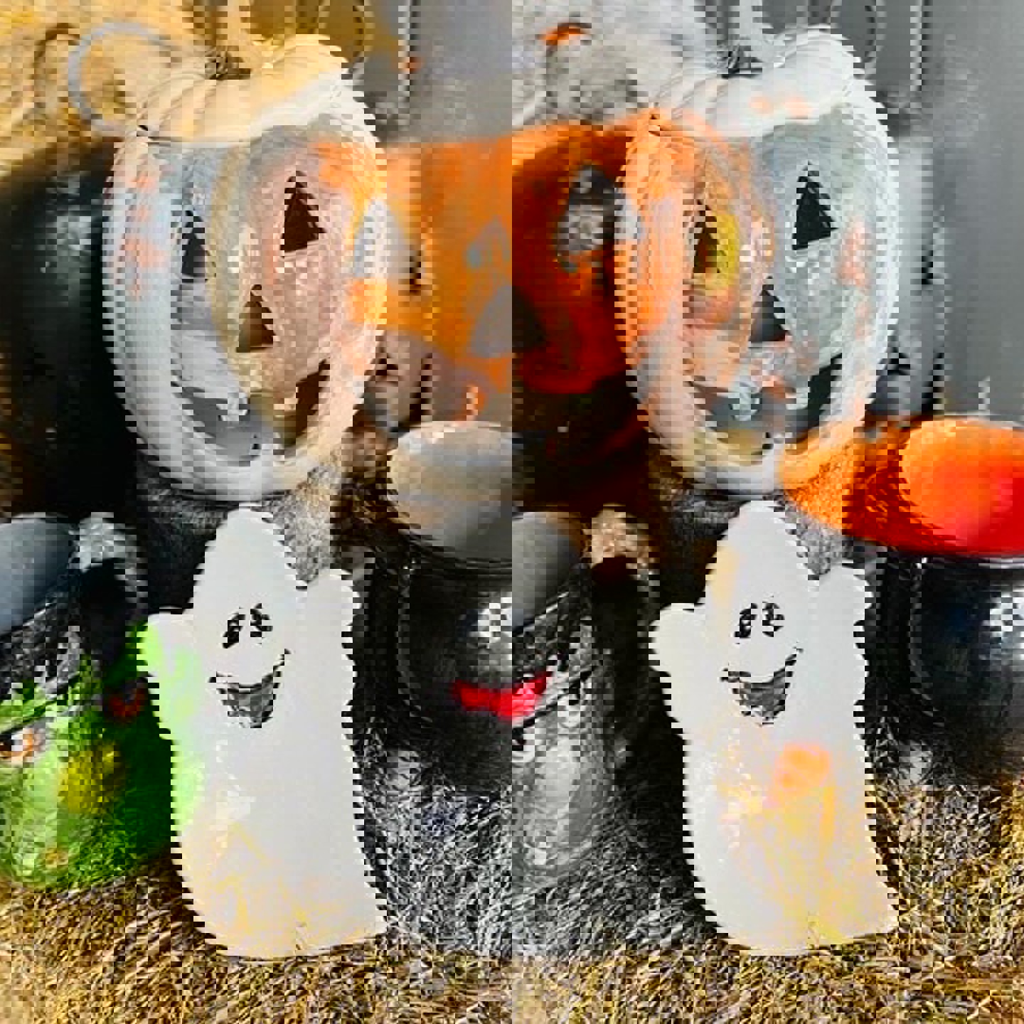 486973310 1616049186005767 8620474616190912768 N (1)