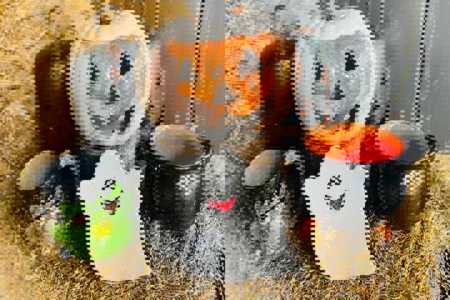 486973310 1616049186005767 8620474616190912768 N (1)