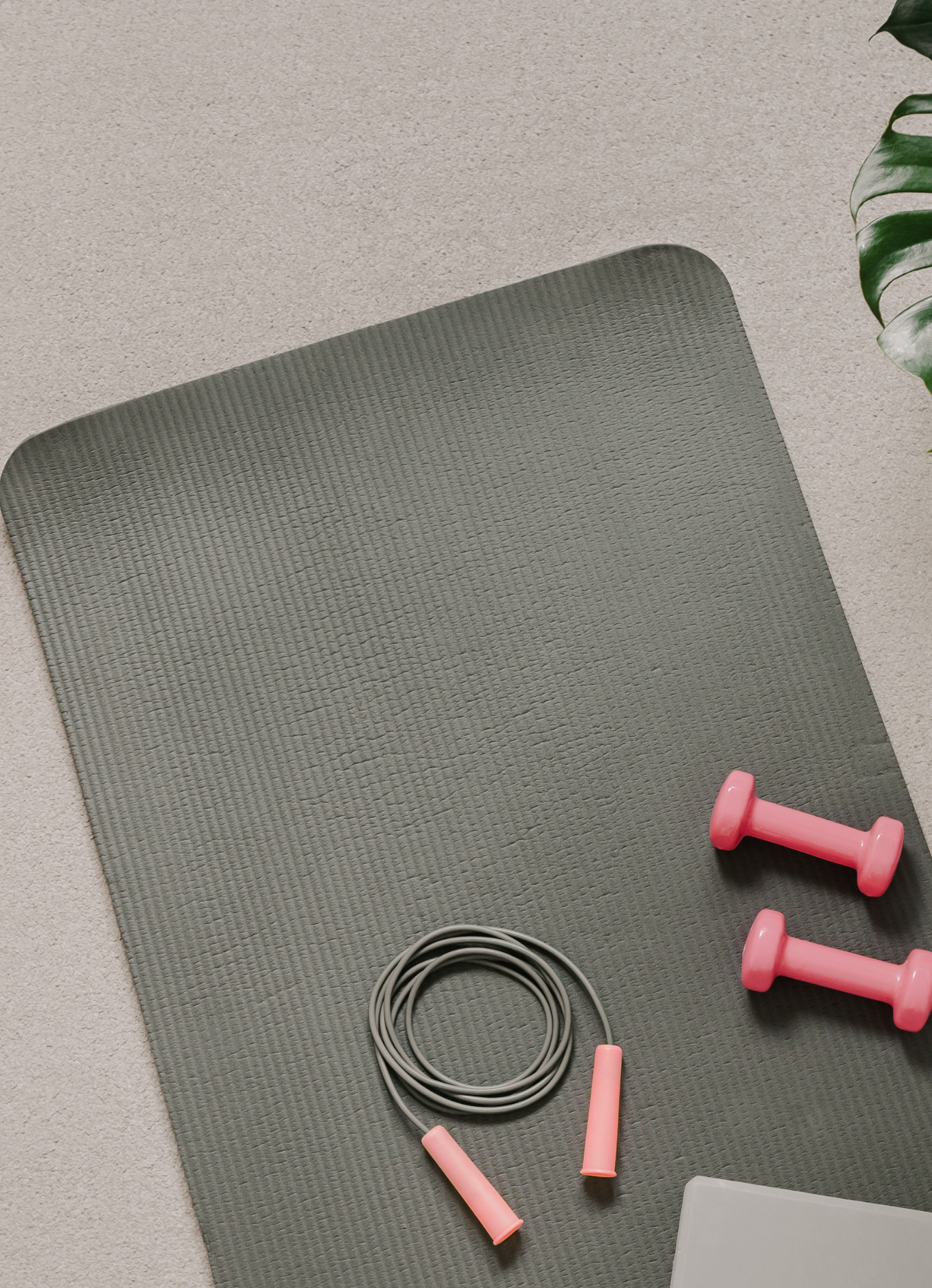 Roller Icons Wellness Studio (12)