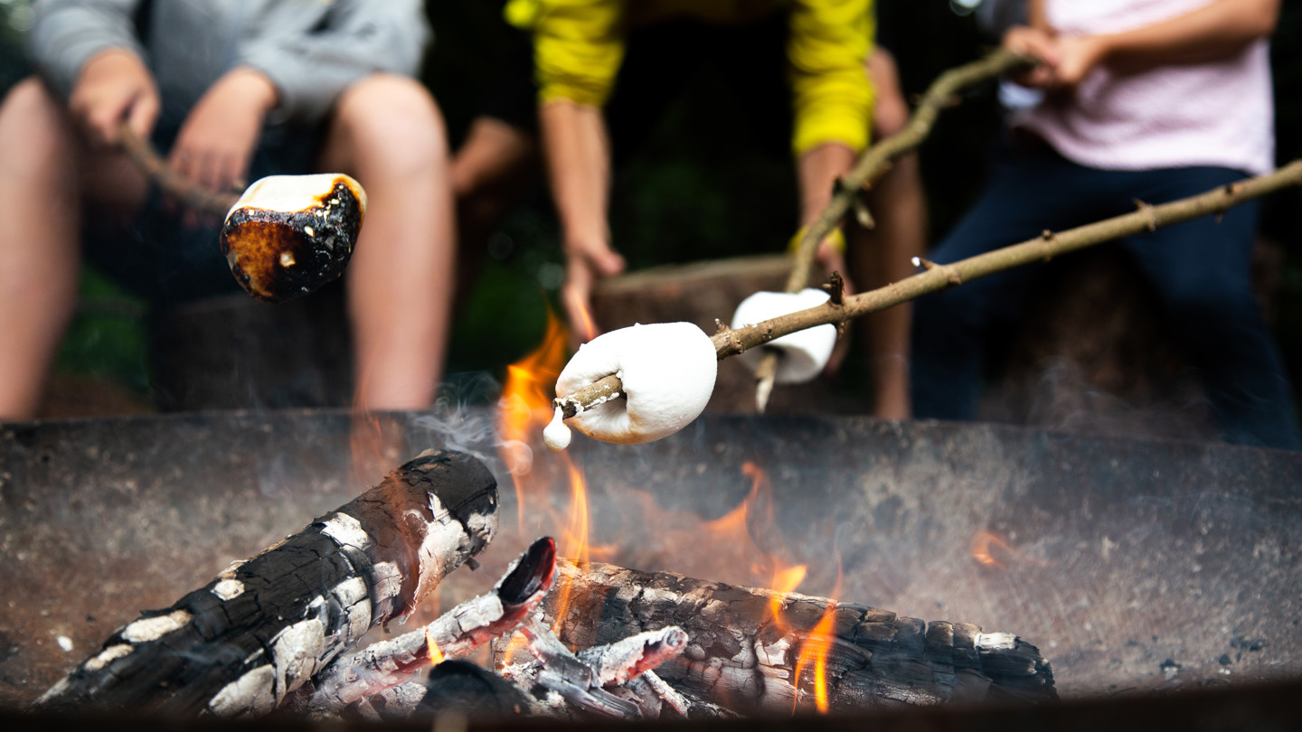 Marshmallow Night