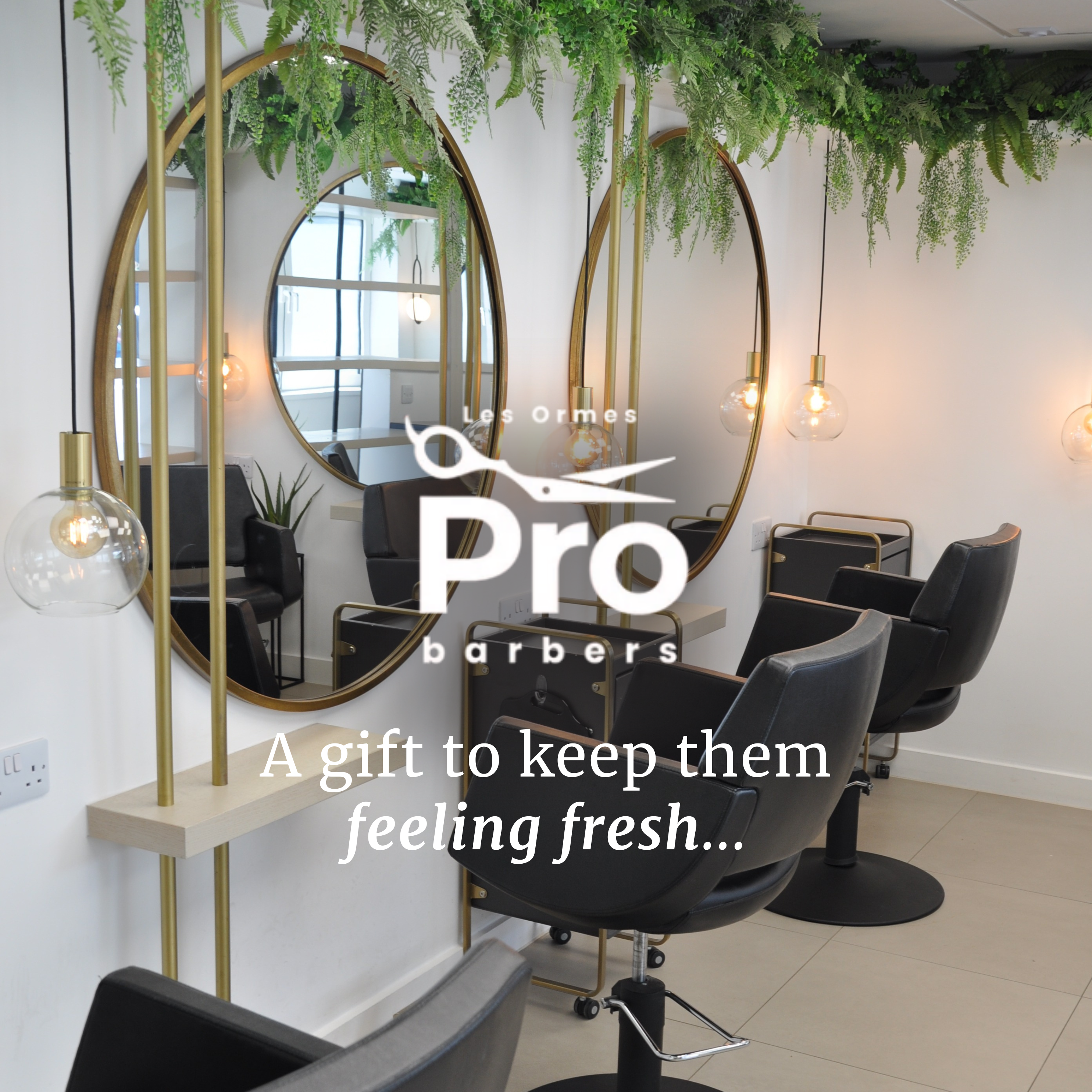 Gift Vouchers Campaign (16)