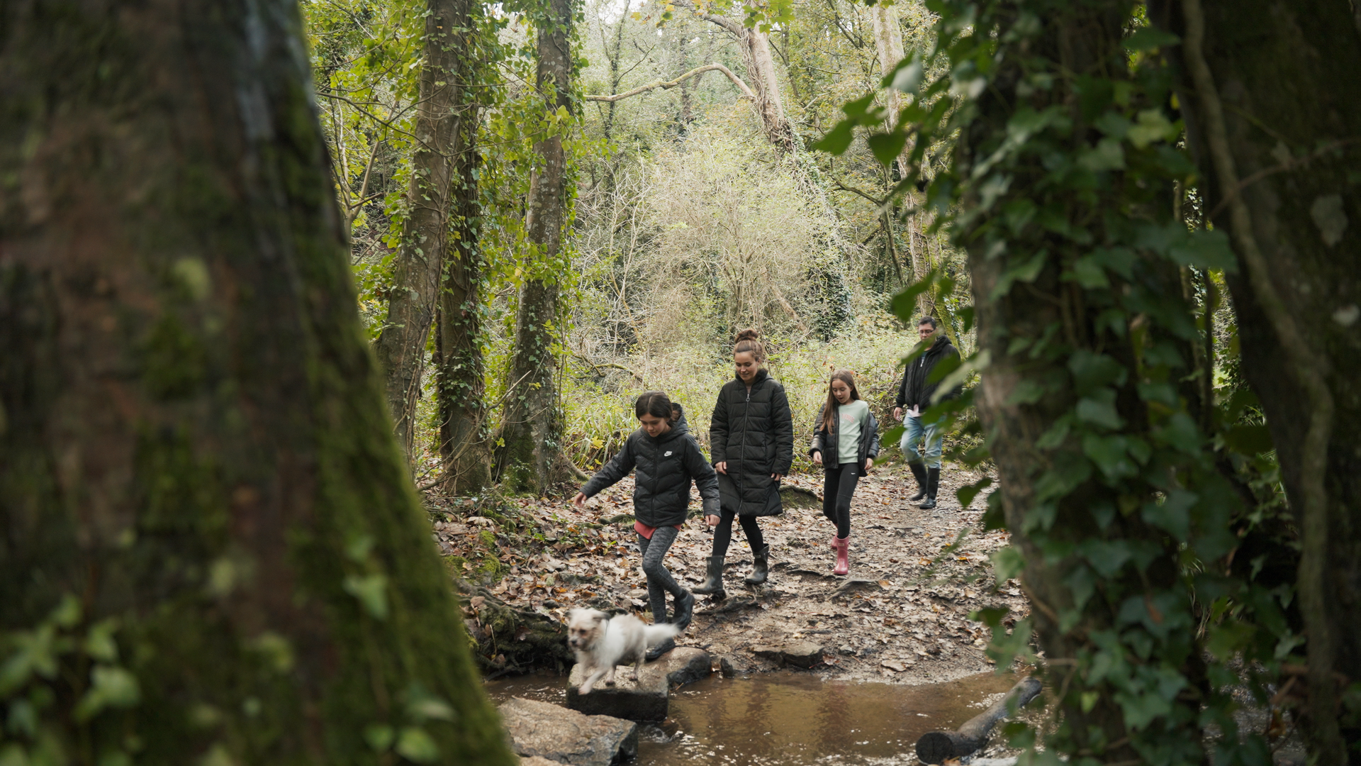 Autumn walk around St.Catherine’s woods