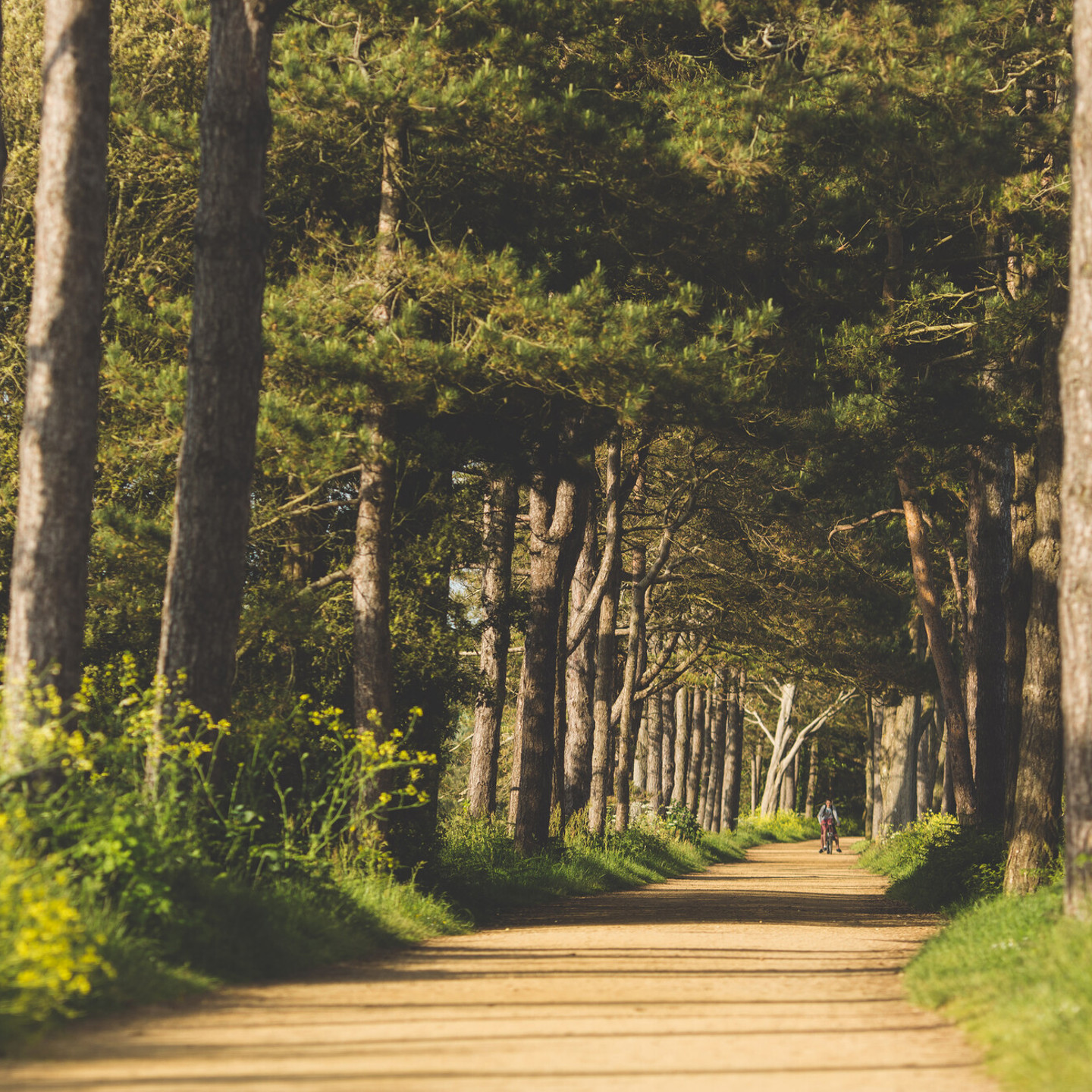 St. Brelade’s Cycle Track