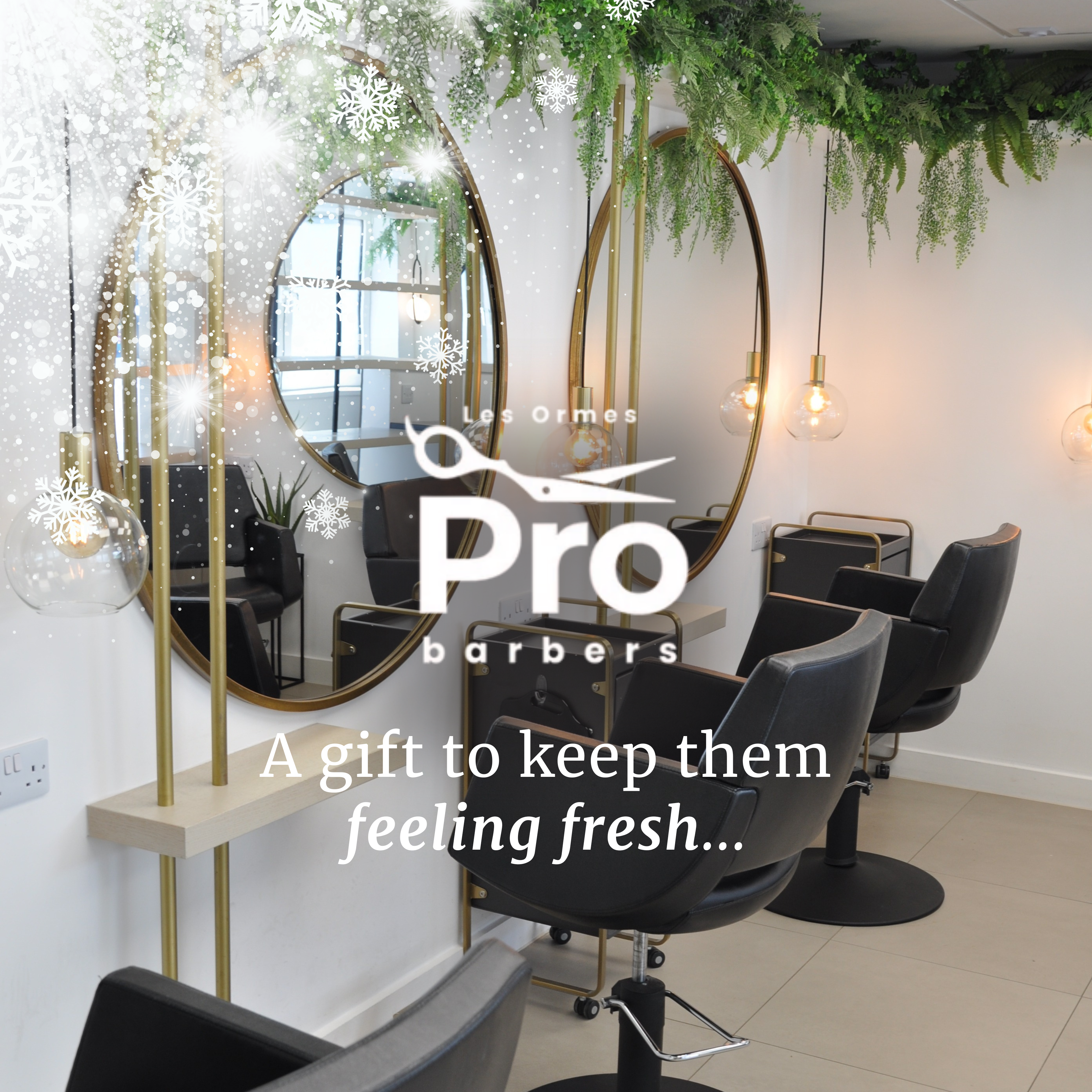 Gift Vouchers Campaign (2)