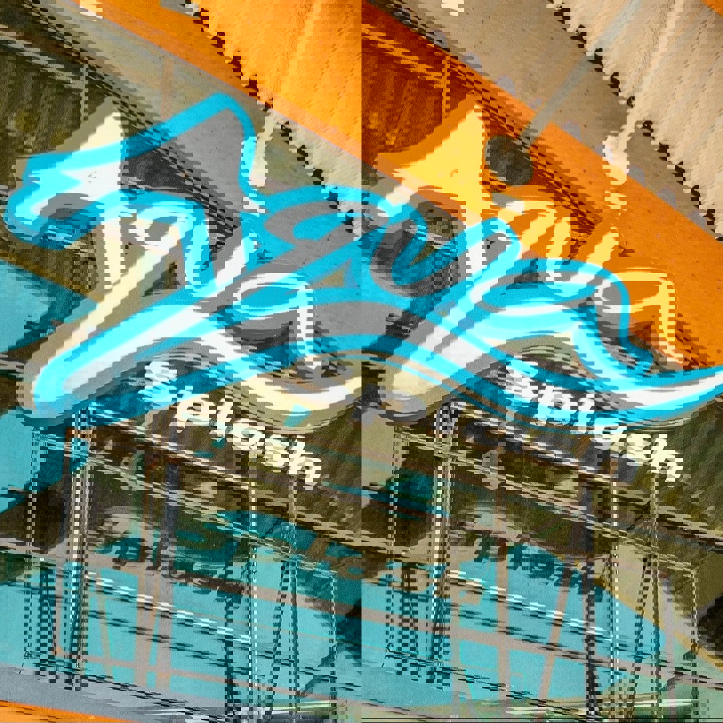 493320627 1230741172390184 3209539007517123427 N