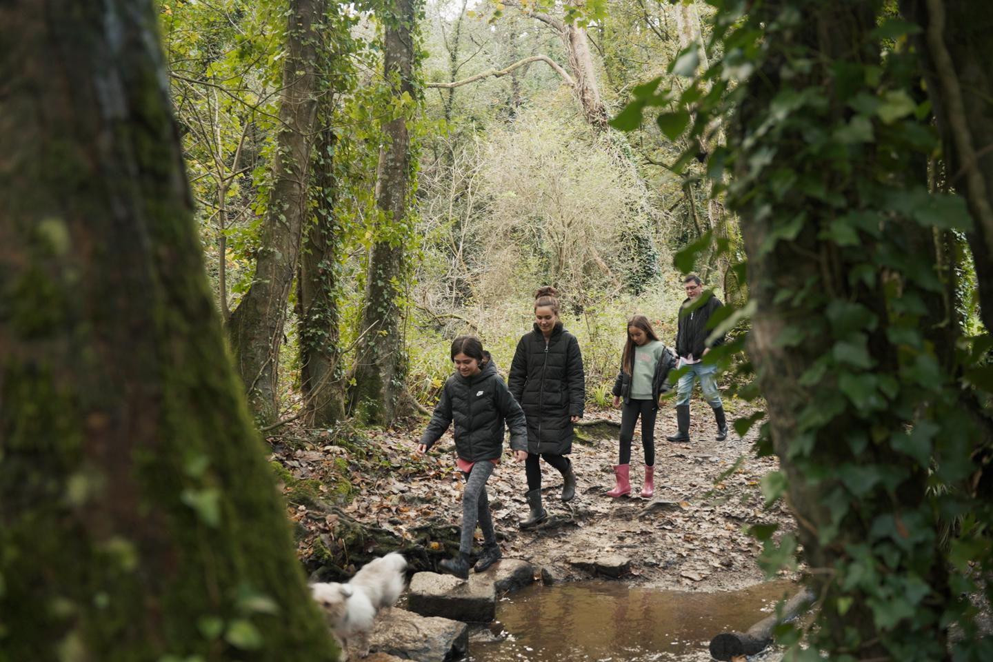 Autumn walk around St.Catherine’s Woods